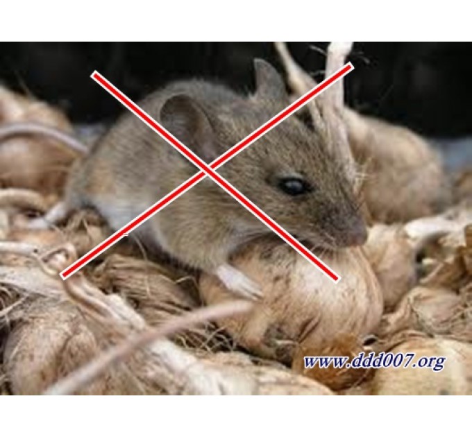 Мобилно устройство за прогонване на мишки Pest controller